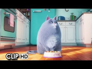 Meet Chloe from 'The Secret Life Of Pets' (2016) HD