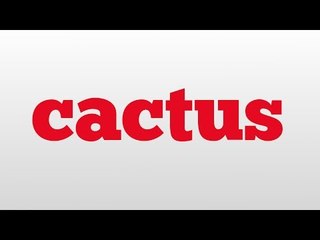 cactus meaning and pronunciation