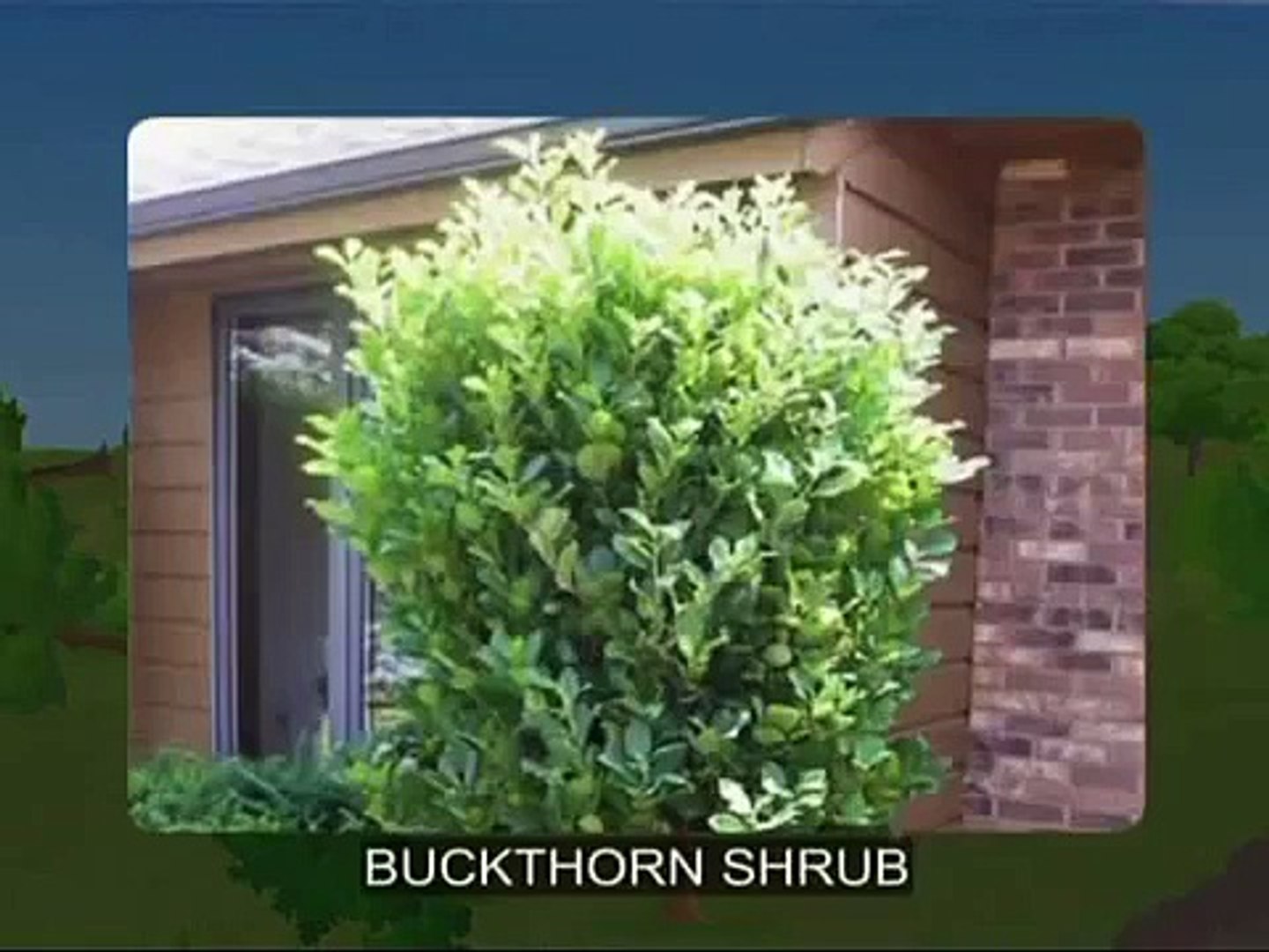 ⁣Biomes - Shrubland - Part 1 Full animated cartoon movie hindi dubbed movies cartoons HD 20