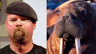Top 10 Celebrities with Animals Face Matching