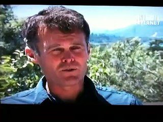 Baby Elephant Rescued By Parents