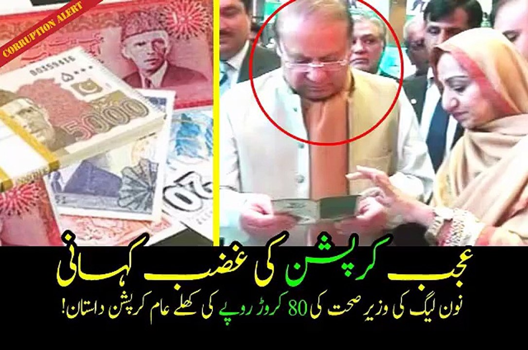 Sabir shakir ecposing PML-N Saira afzal tarar corruption