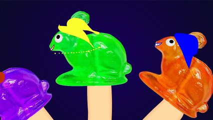 Big Bunny Finger Family ♥ Candy Lollipops Daddy Finger Song