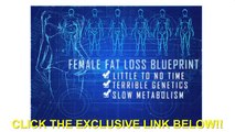 The Venus Factor System Best Weight Loss Program For Women