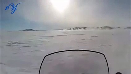 Hunters of Wolves - when Animals attack!