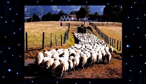 David Icke : Beyond The Cutting Edge - Part 6
