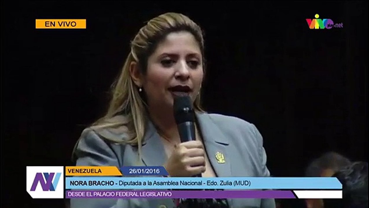 Intervención de la diputada Nora Bracho