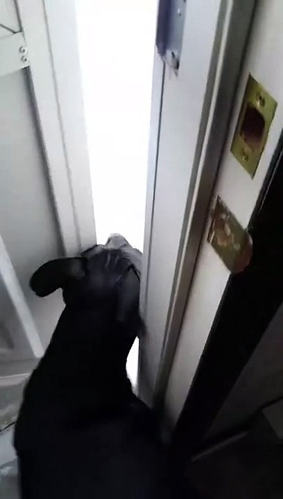 This snow thing looks fun... Oh, no. Retreat. RETREAT!