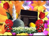 UMAR FAROOQ SADEEQI  MOJZAT E RASOOL DVD_mpeg4