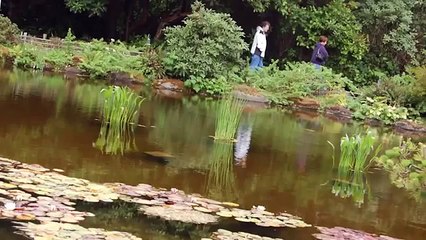 DSLR PHOTOGRAPHY MASTERCLASS COURSE