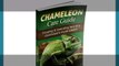 Chameleon Care Guide Review - The Best Chameleon Care Guide Bonus