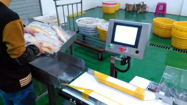 fish sorting machine, seafood grading machine, weight sorter, weight grader