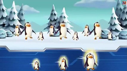 Psi Patrol Na Ratunek - Zimowa Przygoda - Paw Patrol