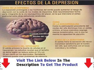 Stop Depresion Facts Bonus + Discount