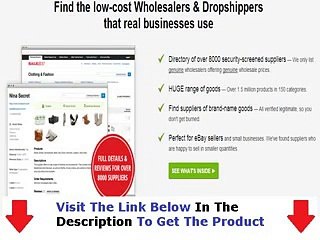 SaleHoo Shocking Review Bonus + Discount