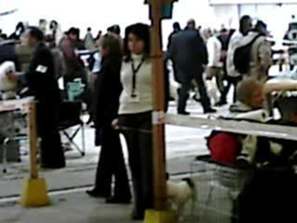 vesta troyes 1erTB femelle confirmée