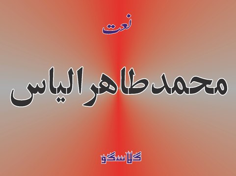 Aamina de Lal jiya laal koi na by Tahir Illyas at MQI Glasgow UK, New Year Mehfil 2016