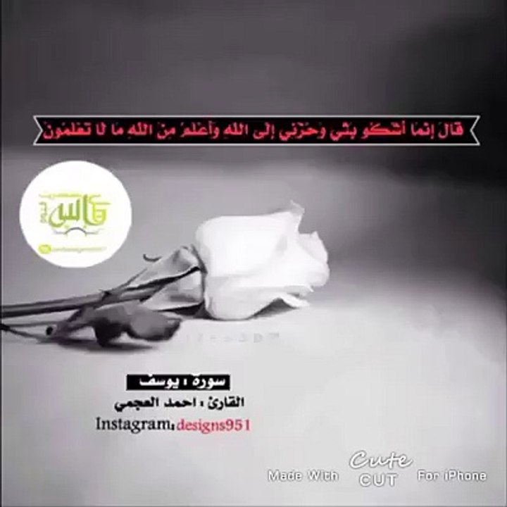 حديقة التائبين(10)