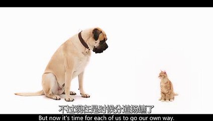 헬로바카라∈【K E B 2 3。C O M】∋ 바카라사이트