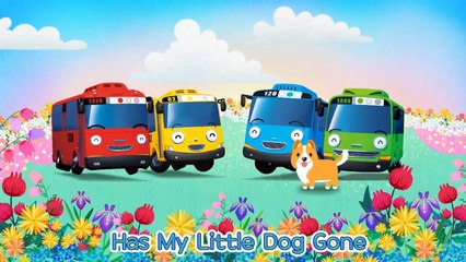 Tayo Boom Series Episode 2: Tayo & Puppy