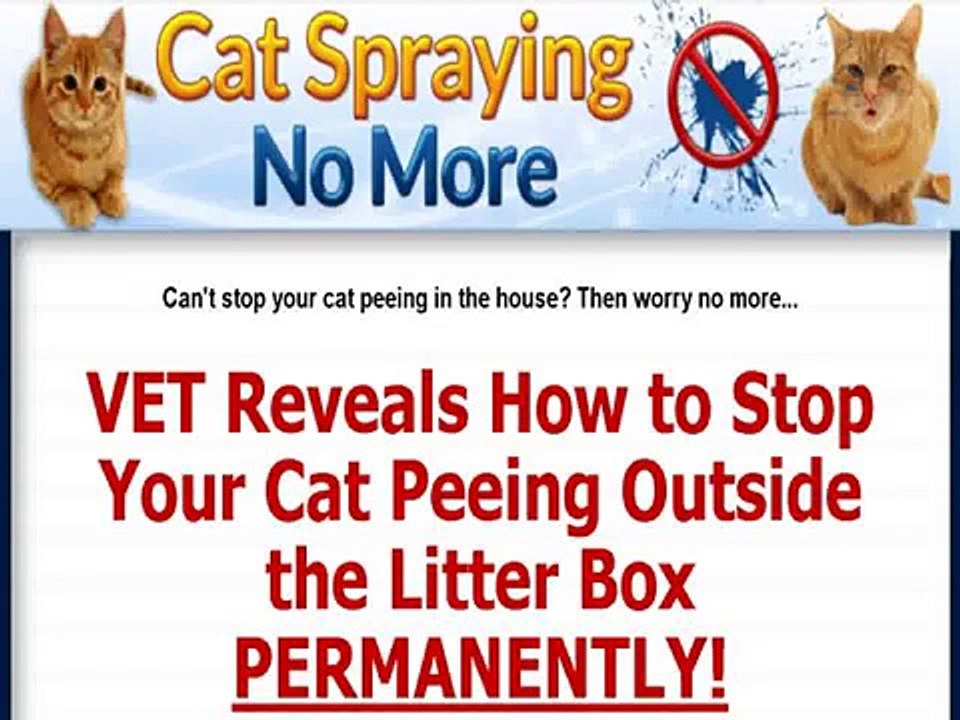 Cat Spraying No More