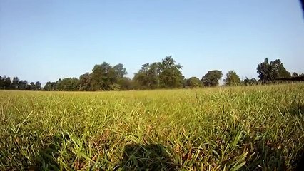 xRotor Spider Quad doing FPV  music by  Dan-O at DanoSongs.com