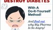 Type 2 Diabetes Destroyer - Reversing Your Type-2 Diabetes