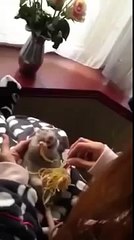 Mouse Eating Spaghetti