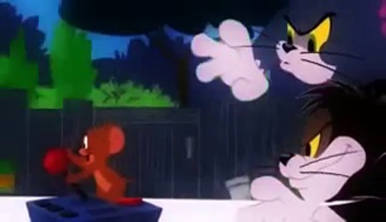 New Tom & Jerry & Tom Cartoons 2016