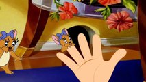 Finger Family& Nursery Rhymes Spongebob Squarepants Tom and Jerry