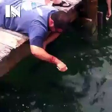 Fish Grabs Man's Arm