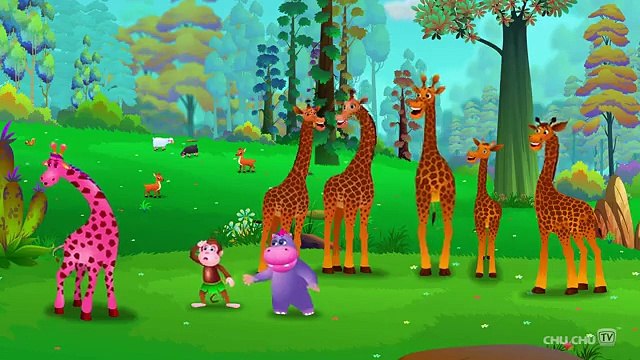 Finger Family Giraffe ChuChu TV Animal Finger Family Nursery Rhymes Songs For Children