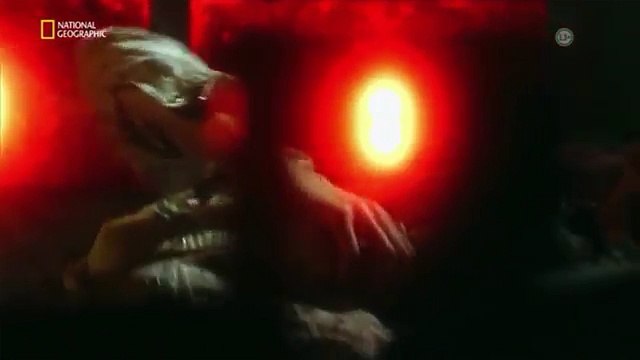 Adli İncelemeler : Parmak İzi (Belgesel)