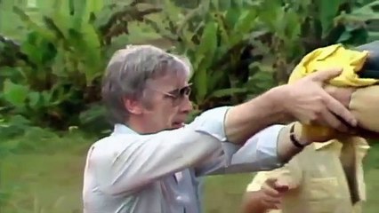 Felaket Anları : Tarikatta Toplu İntihar (Belgesel)