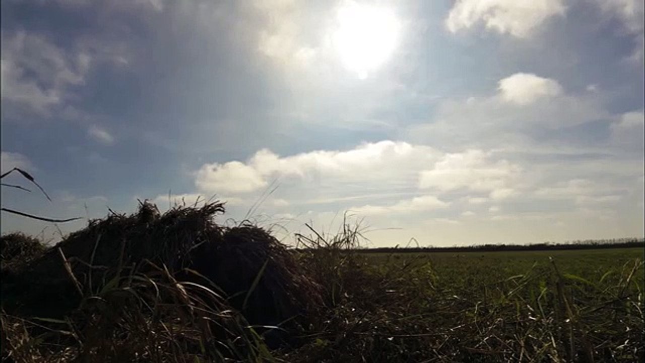 Speck hunt with Ben