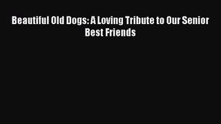 (PDF Download) Beautiful Old Dogs: A Loving Tribute to Our Senior Best Friends Download