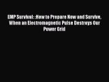 EMP Survival: :How to Prepare Now and Survive When an Electromagnetic Pulse Destroys Our Power