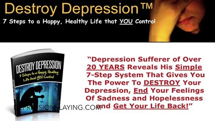 Destroy Depression System Review