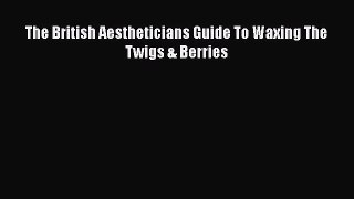 The British Aestheticians Guide To Waxing The Twigs & Berries  PDF Download