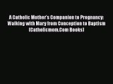 A Catholic Mother's Companion to Pregnancy: Walking with Mary from Conception to Baptism (Catholicmom.Com