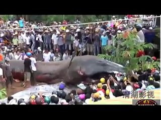 Огромный монстр во Вьетнаме