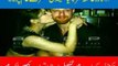 Ayesha omer kissing scandal here where she  kiss some one special for her This News spread like a storm-girlsscandals
