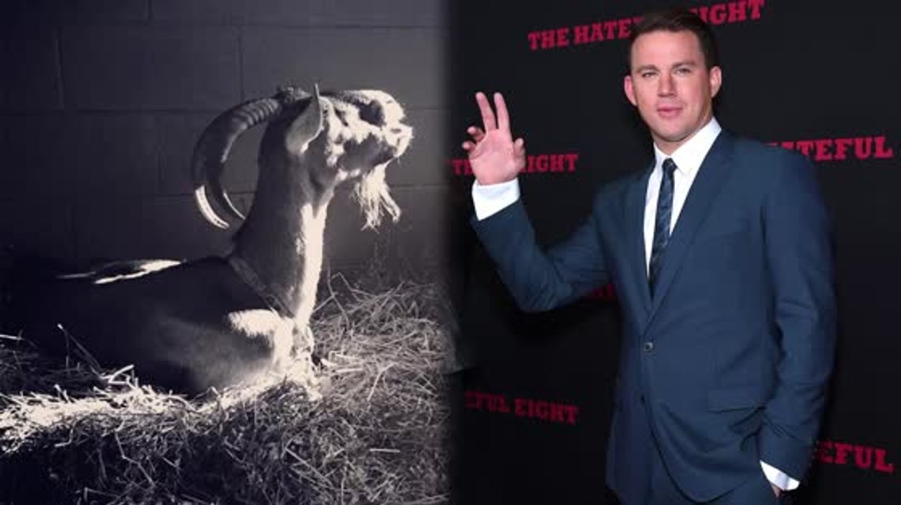 Channing Tatums Familienziege Heather ist gestorben