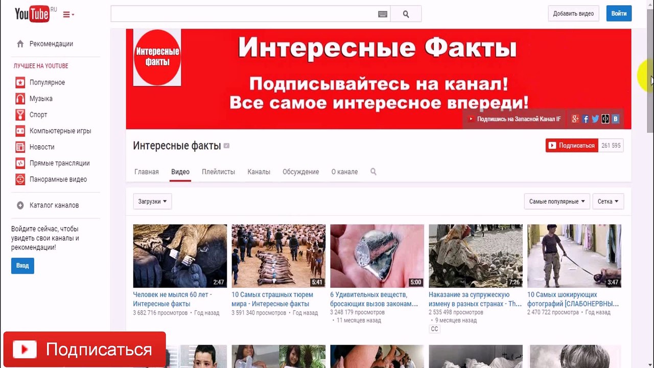 Самая большая акула в мире. Топ 10 фактов