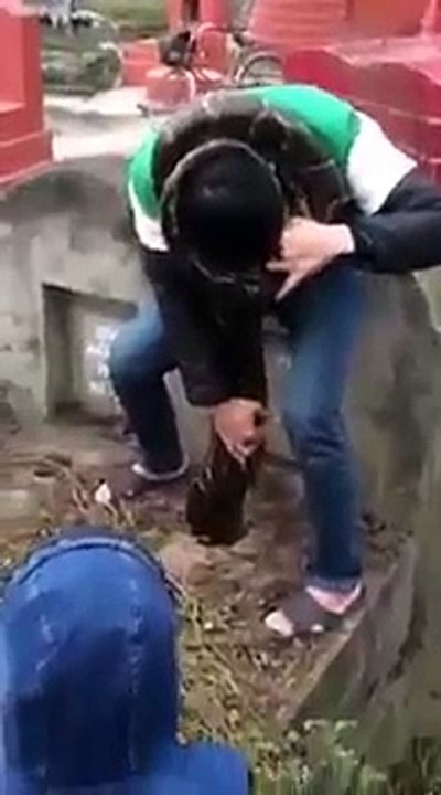Clip  trăn lớn bất ngờ chui vào mộ ở Hưng Yên