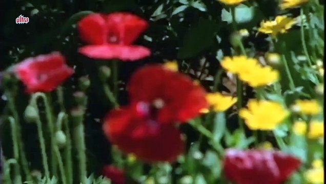 Aaj Mausam Bada Beimaan Hai - Loafer - Dharmendra, Mohammed Rafi,- Full Video Song