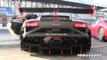 2013 Lamborghini Gallardo Super Trofeo Amazing V10 Sound