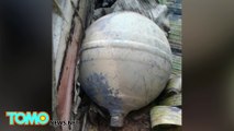 Space balls: Mysterious objects fall from the sky and crash land in northern Vietnam - Tom