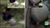 Space balls: Mysterious objects fall from the sky and crash land in northern Vietnam - Tom