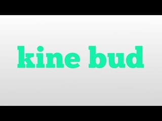 kine bud meaning and pronunciation
